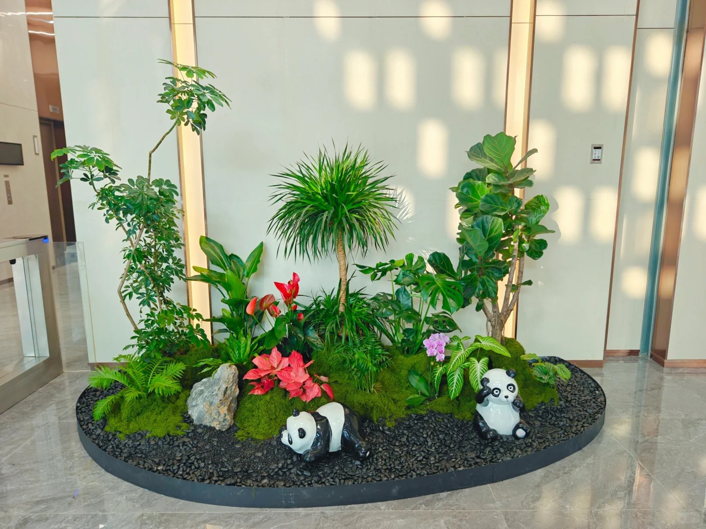 价格实惠的盆景出租,就在宁波余姚!